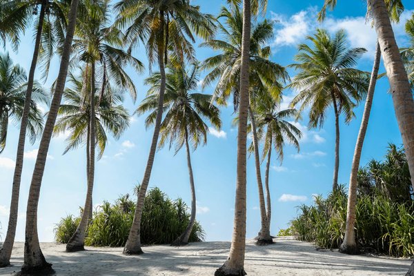 Backpacking et bénévolat : voyager avec un objectif