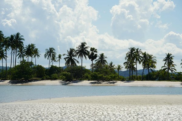 Applications incontournables pour une expérience de location de villas inégalée